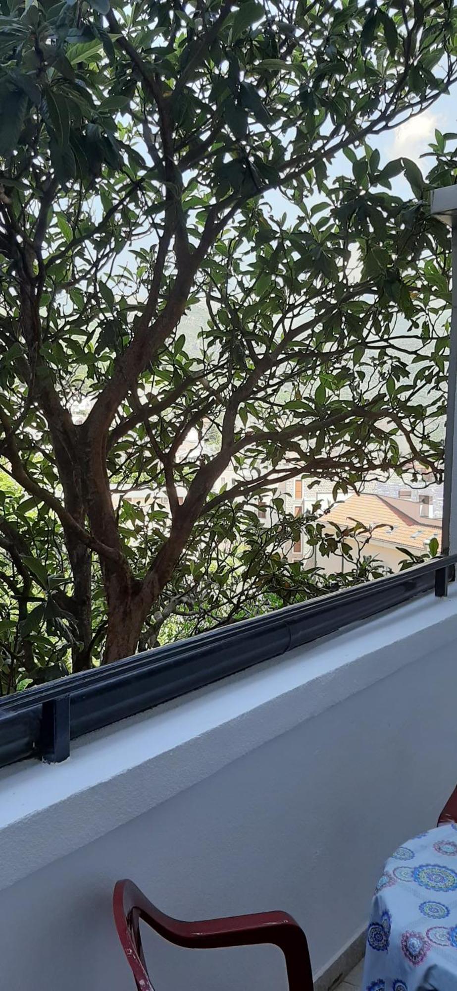 Iskra Apartment บุดวา ภายนอก รูปภาพ